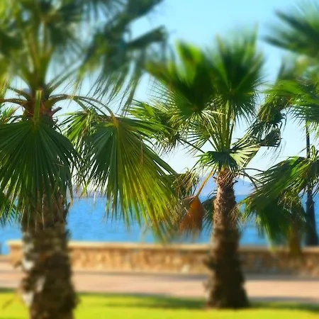 Jardines Del Mar, 30380 *