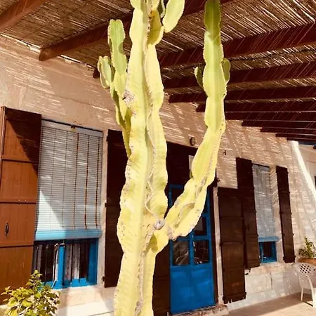 Jardines Del Mar, 30380 *